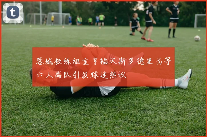 蓉城教练组金亨镒汉斯罗德里戈等六人离队引发球迷热议