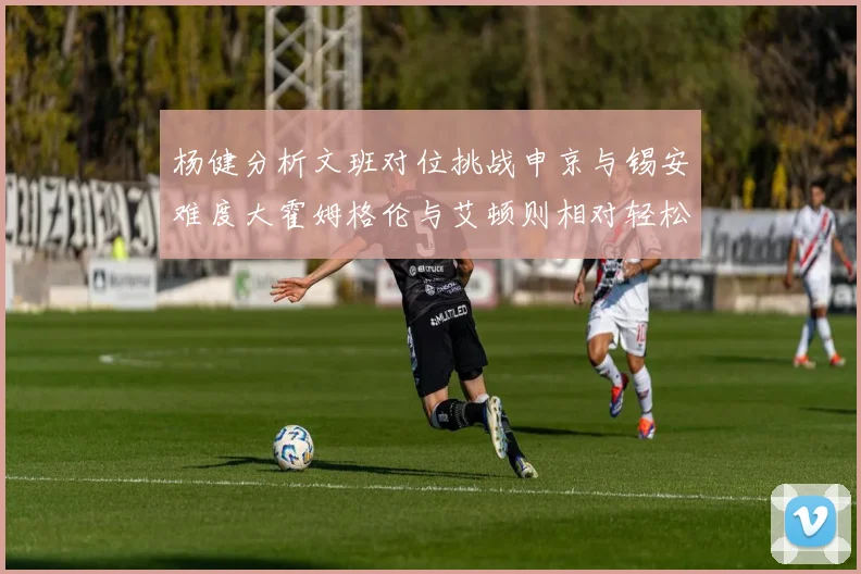 杨健分析文班对位挑战申京与锡安难度大霍姆格伦与艾顿则相对轻松