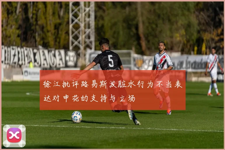 徐江批评路易斯泼脏水行为不当表达对申花的支持与立场